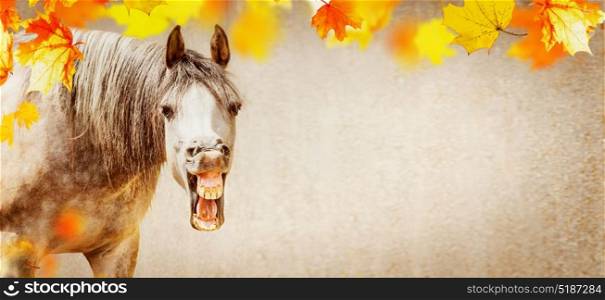 Autumn horse background with funny horse face with open mouthed and falling colorful leaves, banner