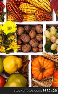 Autumn in a box - fruits, berries, nuts, flowers, corn and pumpkins