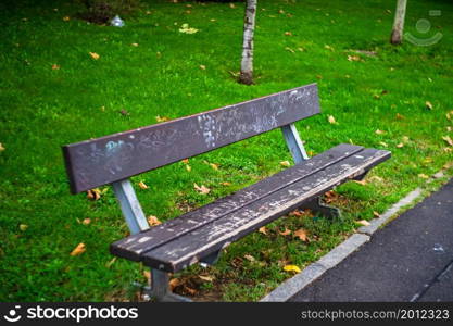 Autumn in a park. Autumn scenery with brown leaves