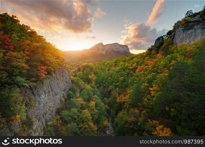 Autumn in canyon mountain. Composition of nature.