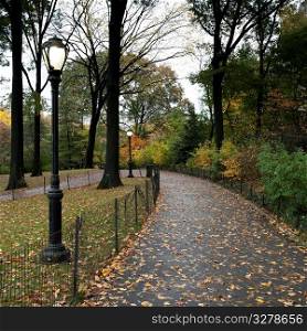 Autumn in Central Park in Manhattan, New York City, U.S.A.