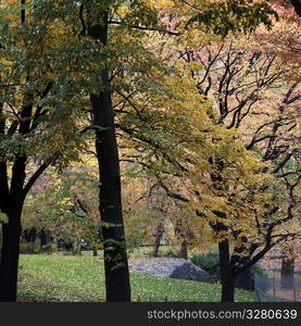 Autumn in Central Park in Manhattan, New York City, U.S.A.