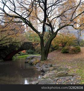 Autumn in Central Park in Manhattan, New York City, U.S.A.