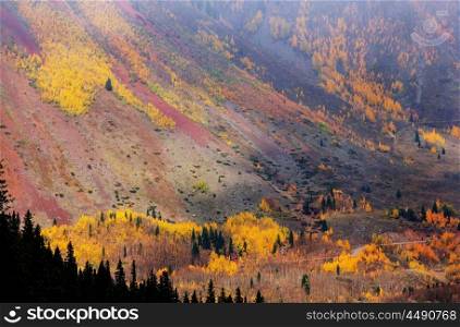 Autumn in Colorado