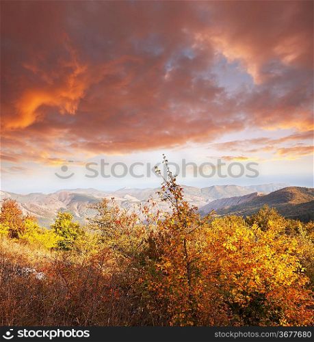 autumn in Crimea