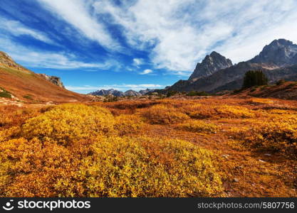 Autumn in Grand Teton National Park, Wyoming