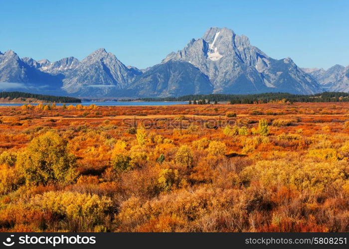 Autumn in Grand Teton National Park, Wyoming