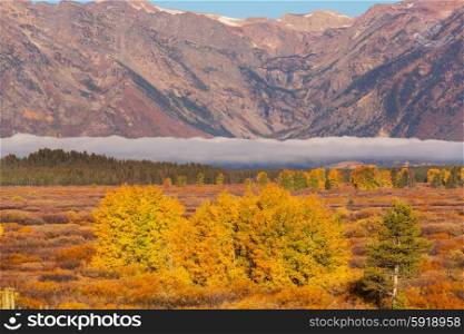 Autumn in Grand Teton National Park, Wyoming
