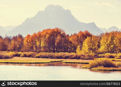 Autumn in Grand Teton with a Instagram toning effect