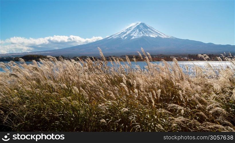 Autumn in Mount Fuji, Japan - Lake Kawaguchiko is one of the best places in Japan to enjoy scenery of Mount Fuji .. Mount Fuji in Autumn Color, Japan