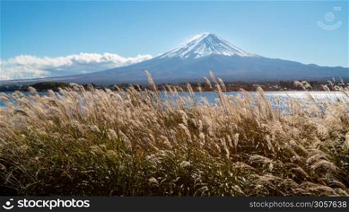 Autumn in Mount Fuji, Japan - Lake Kawaguchiko is one of the best places in Japan to enjoy scenery of Mount Fuji .. Mount Fuji in Autumn Color, Japan