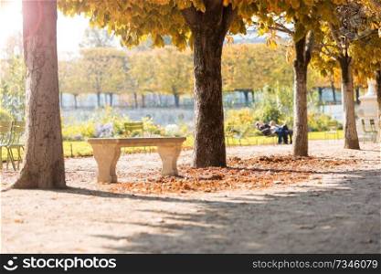 Autumn in Paris. Garden Tuileries. Scenic view of the autumn park with fallen leaves