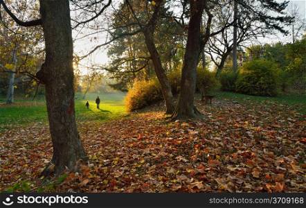 Autumn in park with fall leaves and people walking behind
