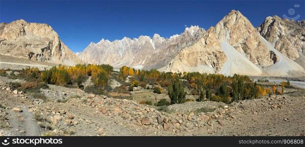 Autumn in Passu show clear blue sky and yellow leaves poplar trees surrounded by mountains of Karakoram range. Hunza valley, Gilgit Baltistan, Pakistan.