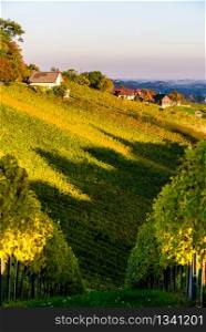 Autumn in southern styria. Vineyard fields country in austria Sunset.. Autumn in southern styria tourist spot
