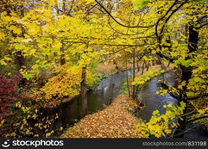Autumn in the castle park of Meiningen Thuringia Germany