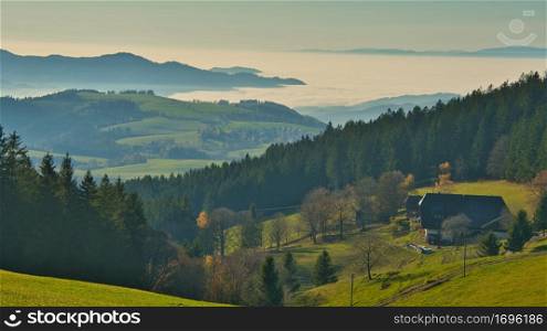 Autumn in the heights of the black forest in germany