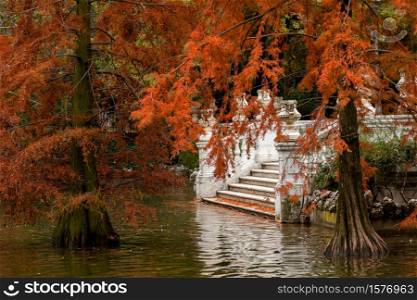 Autumn in the lake at the Crystal Palace Retiro Park, Madrid Spain