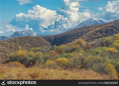 Autumn in the mountains. Scenic spots