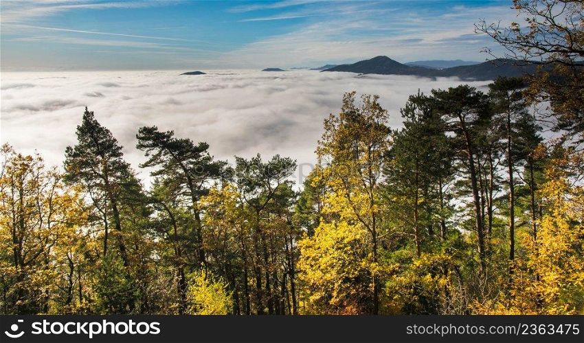 Autumn in the vosges mountains in france