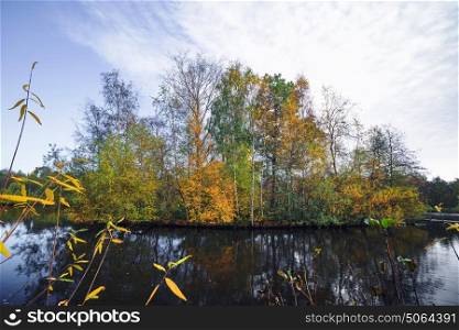 Autumn island with colorful trees in autumn colors in a lake scenery in the fall with tree reflections in the water