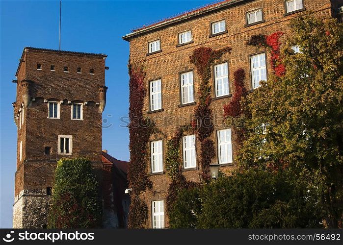 Autumn ivy on the wall of the building. Wawel Royal Castle. Poland. Krakow.