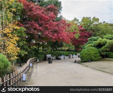 Autumn Japanese garden with maple color leaves in Okayama, Japan