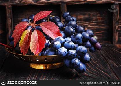 Autumn juicy grapes