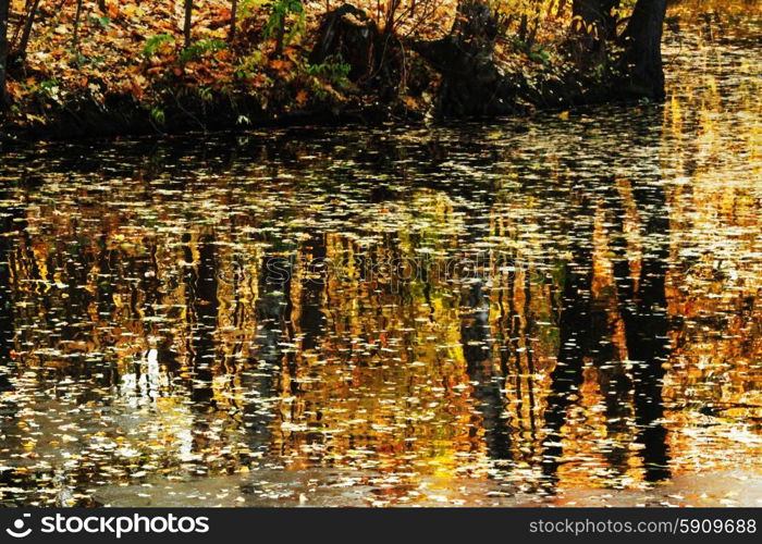 Autumn lake. Beautiful view on autumn lake with orange leaves