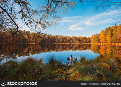 Autumn lake in forest at calm fall morning with trees reflections in still water