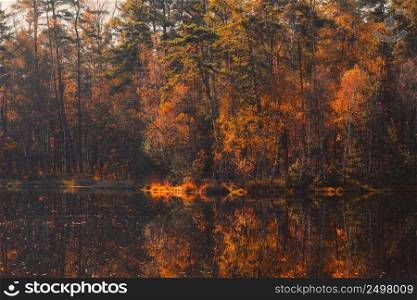 Autumn lake in forest fall trees and colorful golden foliage reflection in still water