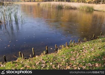 autumn lake, pond and grass photo. Beautiful picture, background, wallpaper