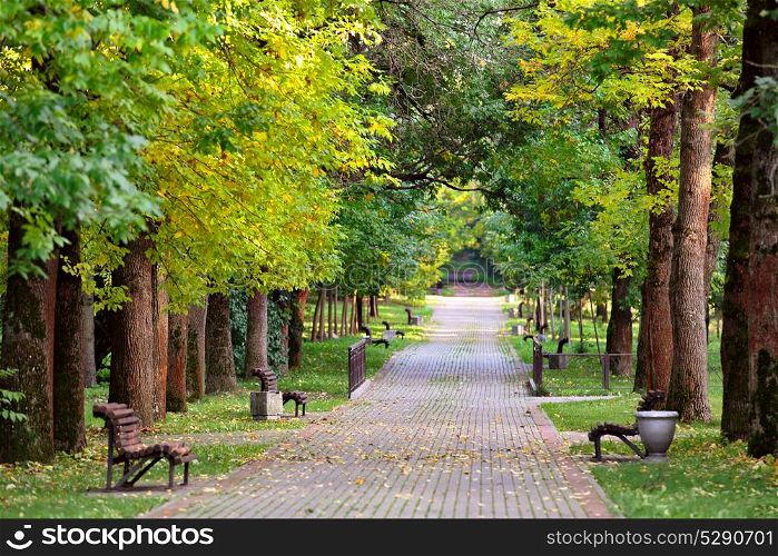 Autumn landscape a?? benches on a beautiful autumn walkway in park. Maple alley. Sunny autumn day. Old wooden benches on the side of pathway