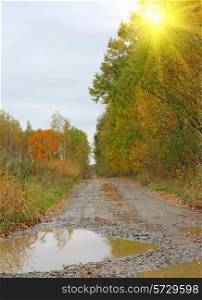 Autumn Landscape and dirt road with a puddle after the rain