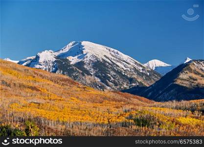 Autumn landscape at Kebler Pass in Colorado Rocky Mountains, USA. 