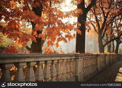 Autumn landscape - autumn city park with fallen yellow autumn leaves and autumn trees.. Autumn landscape - autumn city park with fallen yellow autumn leaves and autumn trees