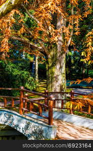 Autumn landscape. Autumn tree leaves. bridge in autumn park