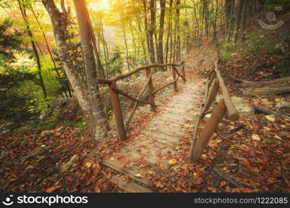 Autumn landscape. Bridge in deep forest. Composition of nature.