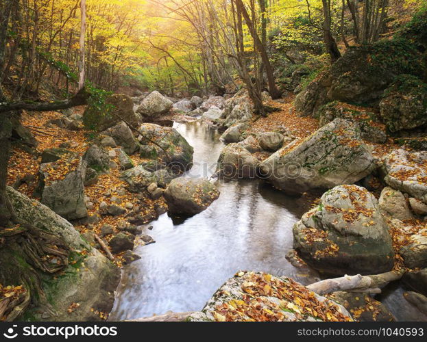 Autumn landscape. Composition of nature. River into canyon.