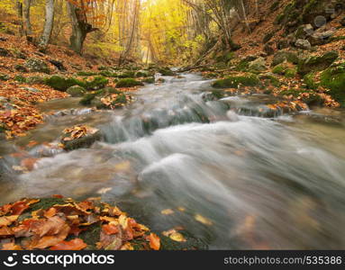 Autumn landscape. Composition of nature. River into canyon.