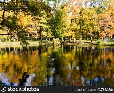autumn landscape. golden autumn autumn landscape reflected in water