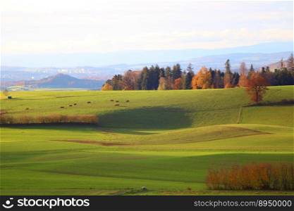 autumn landscape grasslands fields