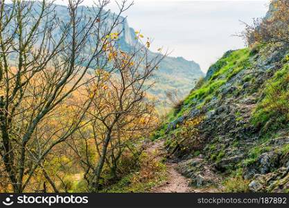 Autumn landscape in the mountains, in the foreground a tree with fallen leaves