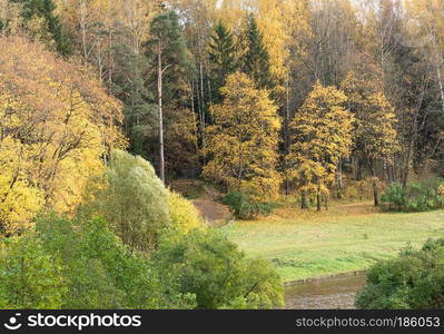 Autumn landscape in the park. Late fall