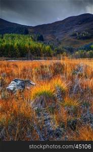 Autumn landscape near river Spey, Laggan village, Scotland, UK