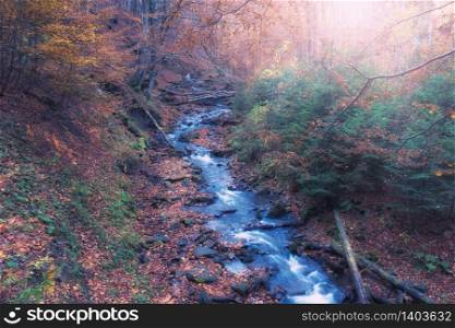 Autumn landscape of Big Creek captured with motion blur, Great Smoky Mountains National Park, Tennessee, USA