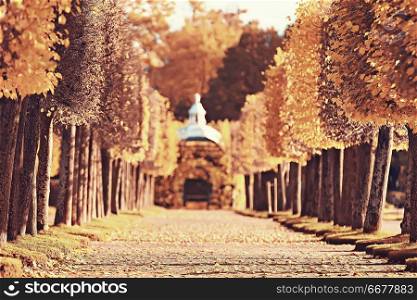 autumn landscape of the Peterhof / autumn park in the petersburg, autumn season in the yellow park