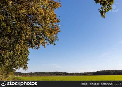 Autumn landscape on the edge of the forest with blue sky. Autumn landscape edge of the forest