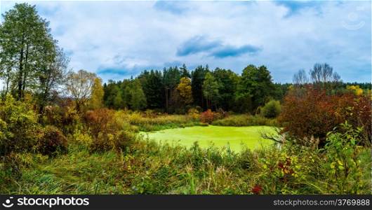 Autumn Landscape. Park in Autumn. The bright colors of autumn in the park by the lake. Panorama