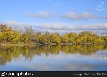 Autumn landscape. River and river bank with yellow trees. Willow and poplar on the river bank. Autumn landscape. River and river bank with yellow trees. Willow and poplar on the river bank.